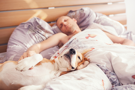 low testosterone man on bed with dog